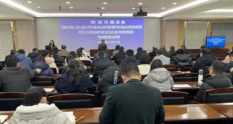 廣咨集團到貴港市開展國企市場化轉(zhuǎn)型暨市場化項目投資可研論證及風險防控培訓